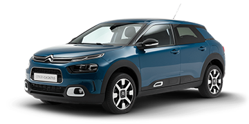 C4 Cactus